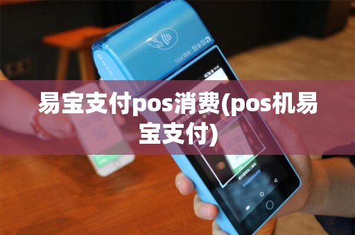 易宝支付pos消费(pos机易宝支付)