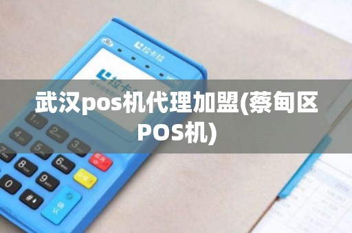 武汉pos机代理加盟(蔡甸区POS机)