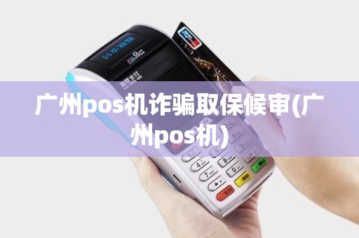 广州pos机诈骗取保候审(广州pos机)