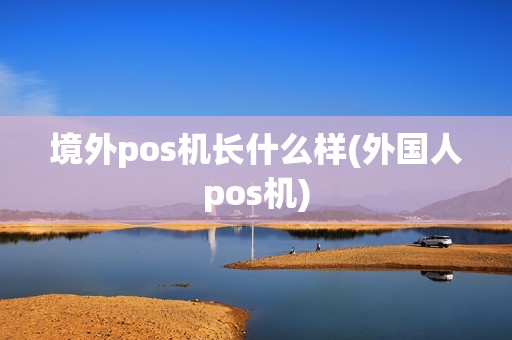 境外pos机长什么样(外国人pos机)