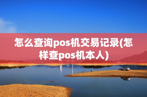 怎么查询pos机交易记录(怎样查pos机本人)