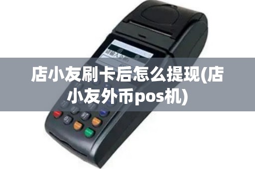 店小友刷卡后怎么提现(店小友外币pos机)
