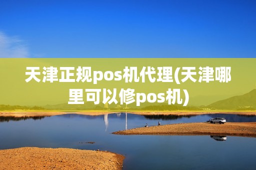 天津正规pos机代理(天津哪里可以修pos机)