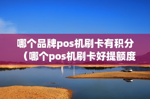 哪个品牌pos机刷卡有积分（哪个pos机刷卡好提额度）
