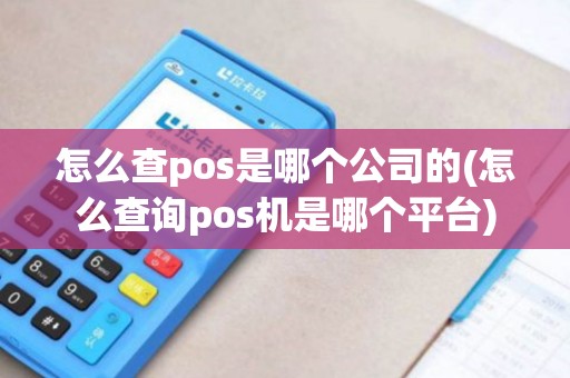 怎么查pos是哪个公司的(怎么查询pos机是哪个平台)