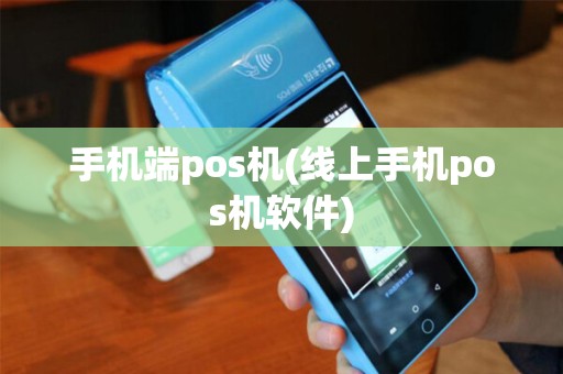 手机端pos机(线上手机pos机软件)
