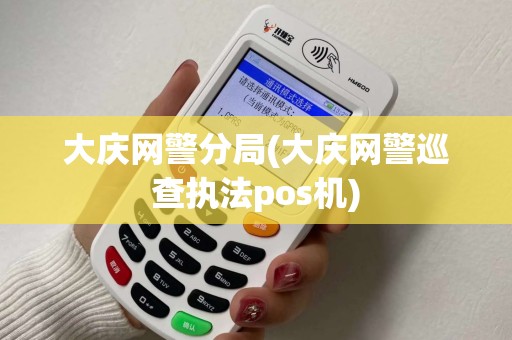 大庆网警分局(大庆网警巡查执法pos机)