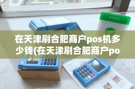 在天津刷合肥商户pos机多少钱(在天津刷合肥商户pos机)