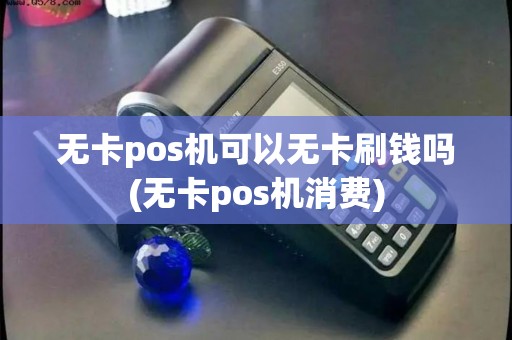 无卡pos机可以无卡刷钱吗(无卡pos机消费)