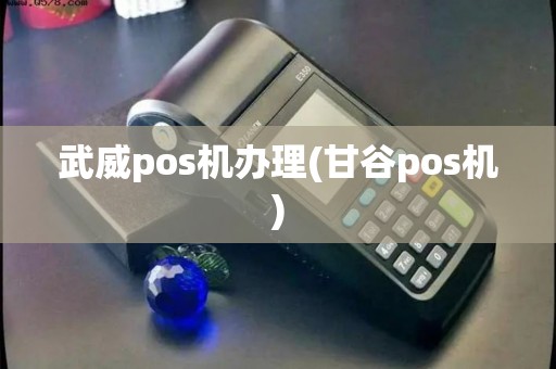 武威pos机办理(甘谷pos机)