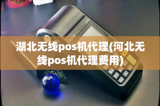 湖北无线pos机代理(河北无线pos机代理费用)