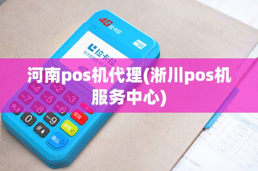 河南pos机代理(淅川pos机服务中心)