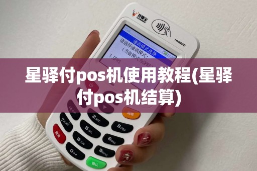 星驿付pos机使用教程(星驿付pos机结算)