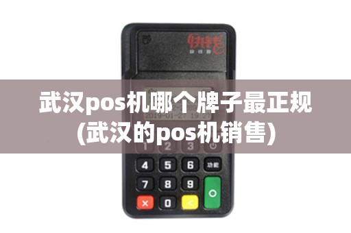 武汉pos机哪个牌子最正规(武汉的pos机销售)
