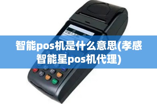 智能pos机是什么意思(孝感智能星pos机代理)
