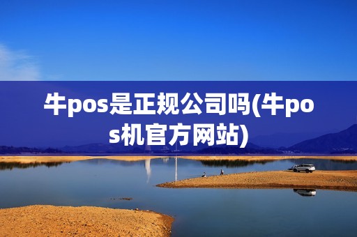 牛pos是正规公司吗(牛pos机官方网站)