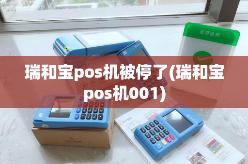 瑞和宝pos机被停了(瑞和宝pos机001)