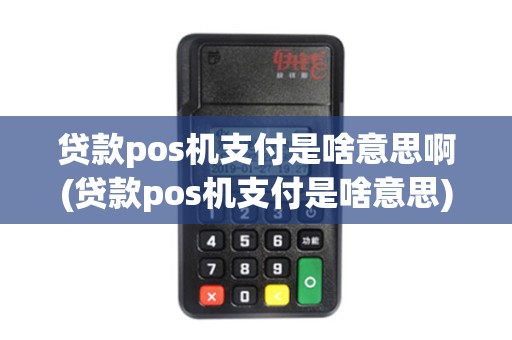 贷款pos机支付是啥意思啊(贷款pos机支付是啥意思)