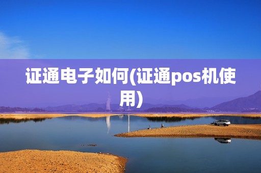 证通电子如何(证通pos机使用)