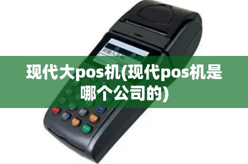 现代大pos机(现代pos机是哪个公司的)