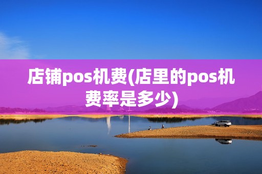 店铺pos机费(店里的pos机费率是多少)
