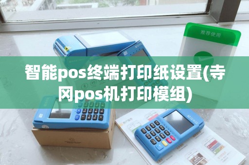 智能pos终端打印纸设置(寺冈pos机打印模组)