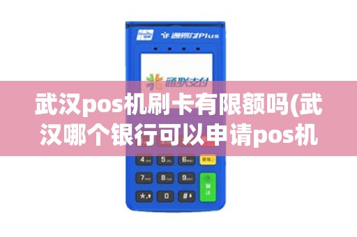 武汉pos机刷卡有限额吗(武汉哪个银行可以申请pos机)