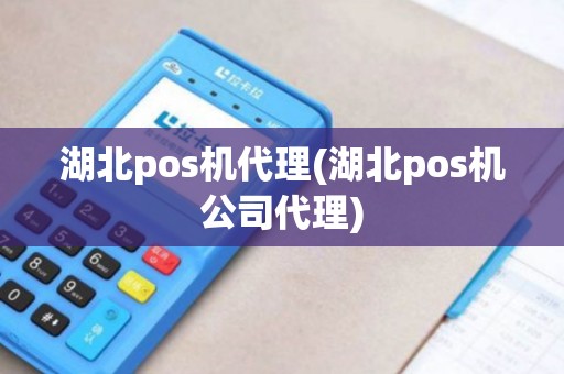 湖北pos机代理(湖北pos机公司代理)