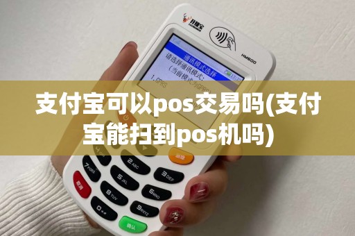 支付宝可以pos交易吗(支付宝能扫到pos机吗)
