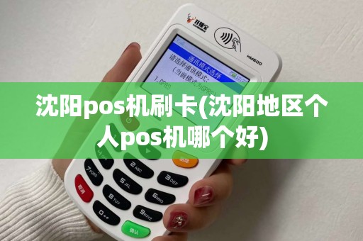 沈阳pos机刷卡(沈阳地区个人pos机哪个好)