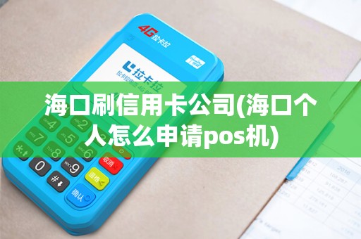 海口刷信用卡公司(海口个人怎么申请pos机)