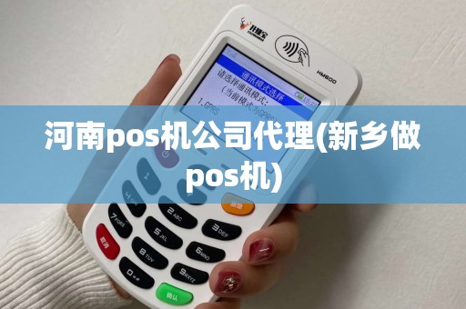 河南pos机公司代理(新乡做pos机)