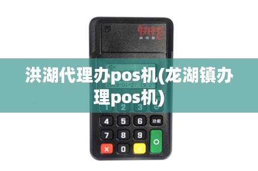 洪湖代理办pos机(龙湖镇办理pos机)