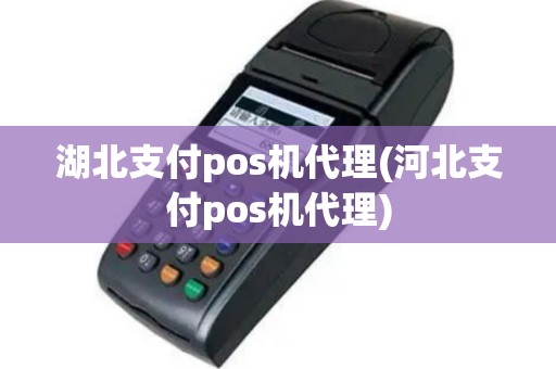 湖北支付pos机代理(河北支付pos机代理)