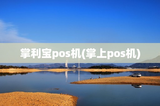 掌利宝pos机(掌上pos机)