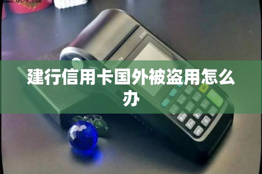 建行信用卡国外被盗用怎么办