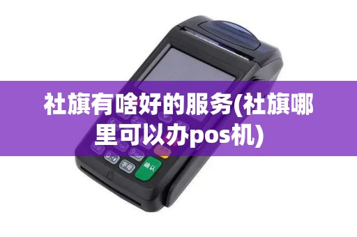 社旗有啥好的服务(社旗哪里可以办pos机)