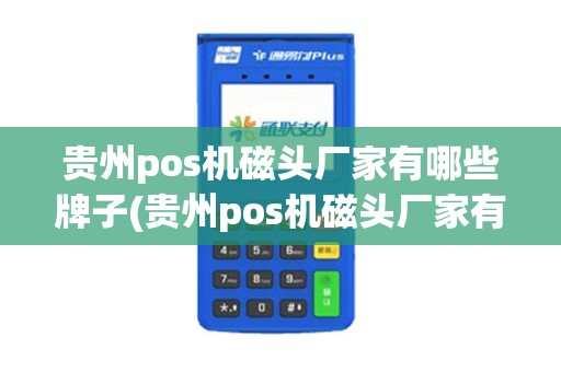 贵州pos机磁头厂家有哪些牌子(贵州pos机磁头厂家有哪些)