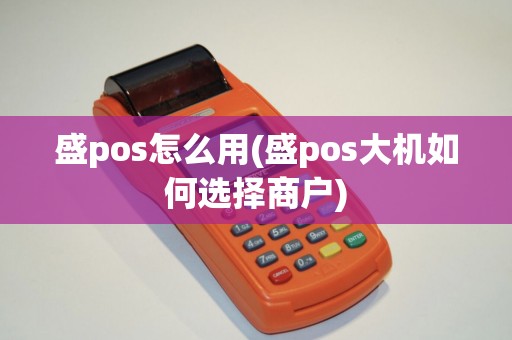 盛pos怎么用(盛pos大机如何选择商户)