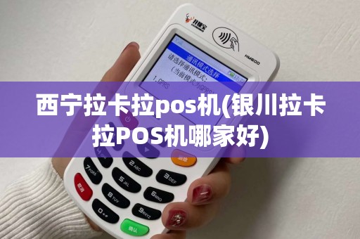 西宁拉卡拉pos机(银川拉卡拉POS机哪家好)