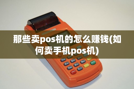 那些卖pos机的怎么赚钱(如何卖手机pos机)
