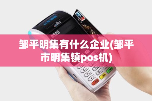 邹平明集有什么企业(邹平市明集镇pos机)
