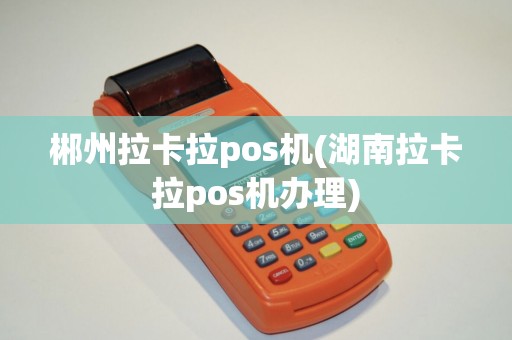 郴州拉卡拉pos机(湖南拉卡拉pos机办理)