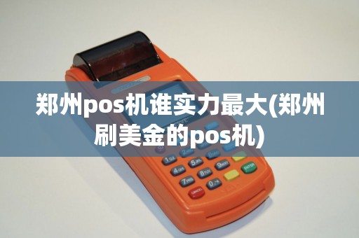 郑州pos机谁实力最大(郑州刷美金的pos机)