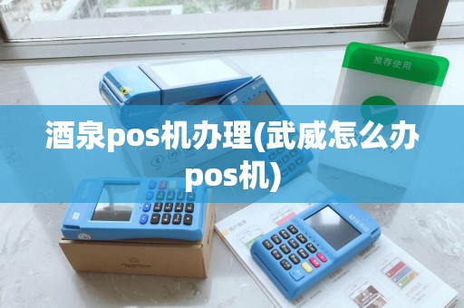 酒泉pos机办理(武威怎么办pos机)