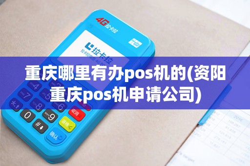 重庆哪里有办pos机的(资阳重庆pos机申请公司)