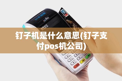 钉子机是什么意思(钉子支付pos机公司)