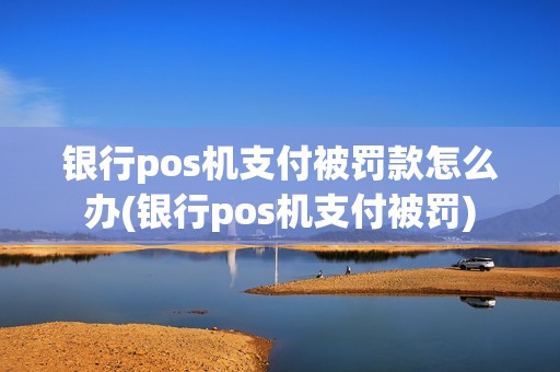 银行pos机支付被罚款怎么办(银行pos机支付被罚)