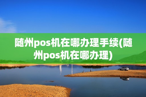 随州pos机在哪办理手续(随州pos机在哪办理)