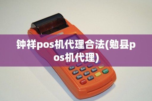 钟祥pos机代理合法(勉县pos机代理)
